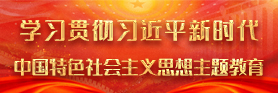 深入開展學習貫徹習近平新時代中國特色社會主義思想主題教育